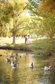 Floyd Lamb Park Wedding