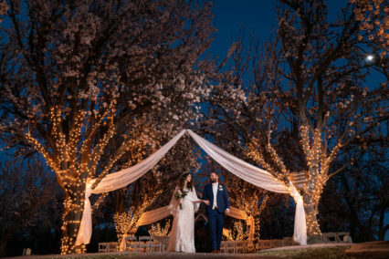 bride and groom under trees