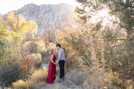 couple standing in nature