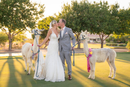 bride and groom with lamas